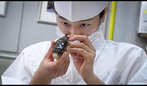 GUN FISH あなたの知らないフグの世界
